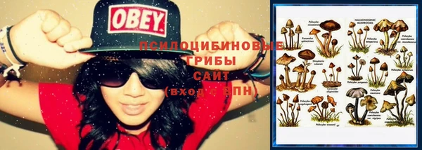 меф VHQ Гусиноозёрск