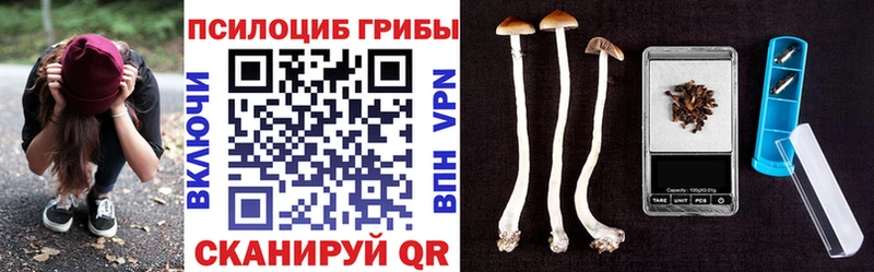 Галлюциногенные грибы GOLDEN TEACHER  Купить закладки  Подпорожье 