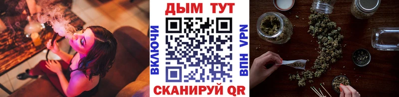 Купить где  Подпорожье  Каннабис конопля 